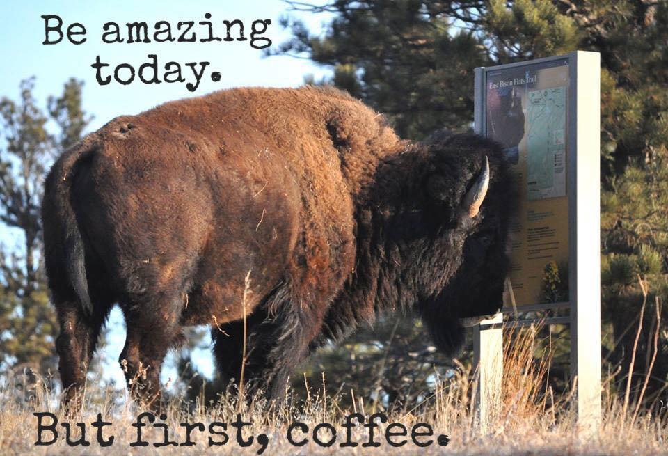 Start the week off right...by thinking about your national parks! Do you have plans to hit the trail or explore a park this week? 

#FindYourPark #ModayMotivation