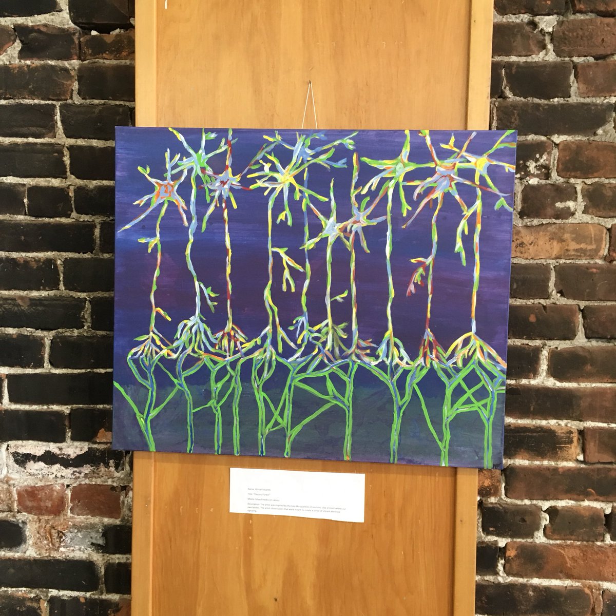 KristinMWebster's tweet image. I really enjoyed yesterday’s Brain Art Fair to celebrate the opening of #BrainWeekRI at @rimosaorg! #neuroscience #scicomm