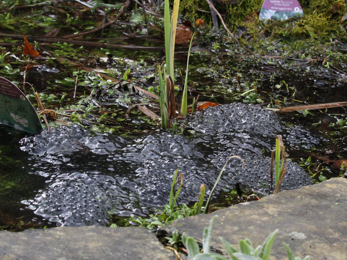 Colin Humphrey tweet media