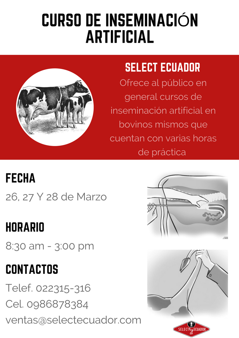 SelectEcuador tweet picture