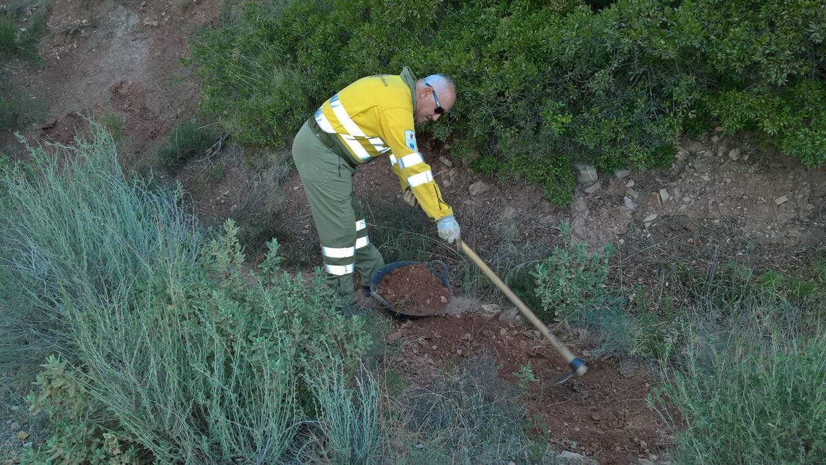 defensaforeMUR's tweet photo. 📷BRIFOR ALHAMA en labores de arreglo y mantenimiento de caminos. Concretamente en el camino de #Campix. #Tareasprogramadas #udif @MurciaForestal https://t.co/xFZYYgpFLf