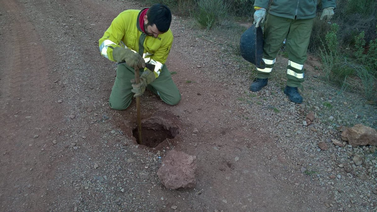 defensaforeMUR's tweet photo. 📷BRIFOR ALHAMA en labores de arreglo y mantenimiento de caminos. Concretamente en el camino de #Campix. #Tareasprogramadas #udif @MurciaForestal https://t.co/xFZYYgpFLf