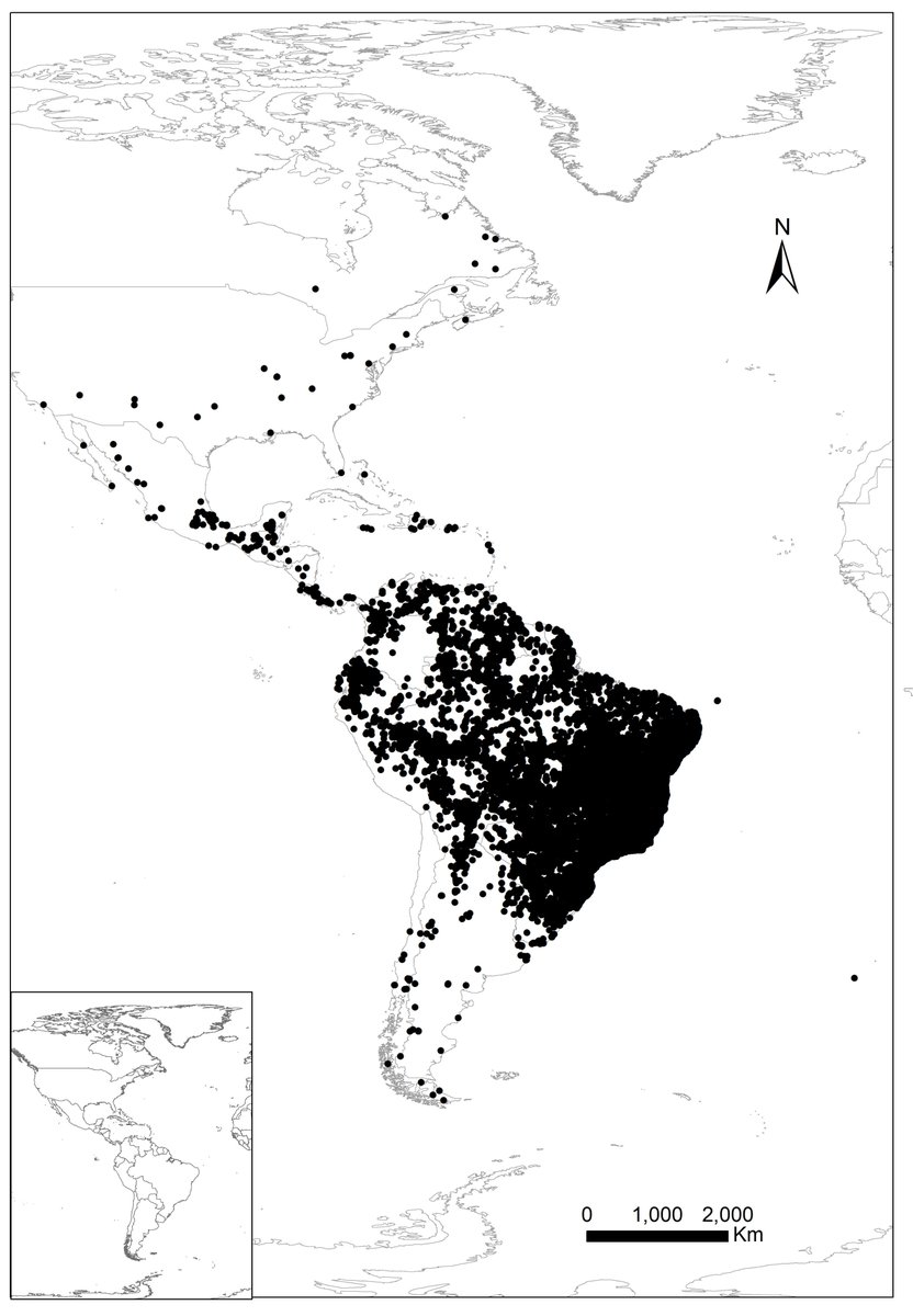 Data Paper: the land #plants & #algae collections in the @J_Botanico_RJ: doi.org/10.3897/BDJ.6.…. 
The dataset is updated weekly on portals @SiB_Br & @GBIF.
Pictured: 17% of the specimens deposited georeferenced
#biodiversity #taxonomy #PlantSciences #mycology #herbarium