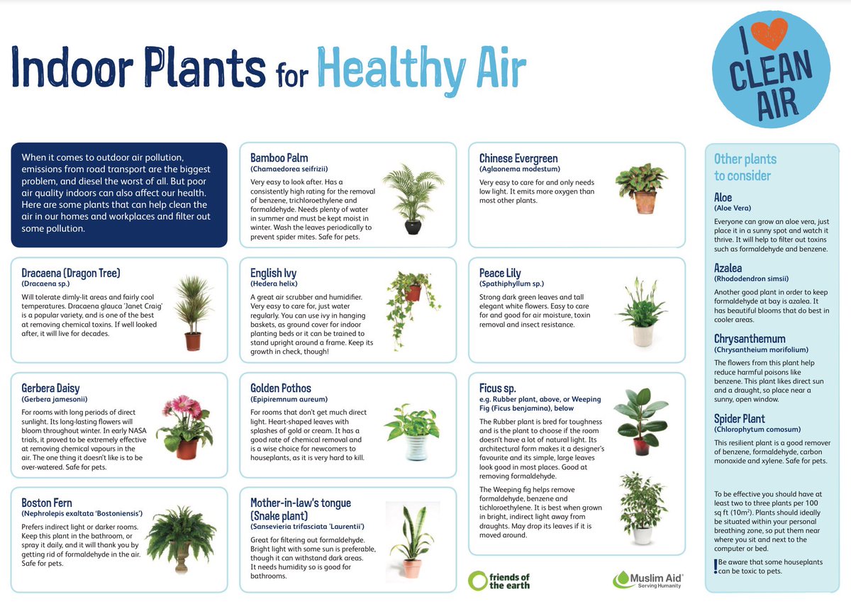 #HealthyAir #CleanAir #AirQuality #AirPollution #PollutionMitigation 🌱