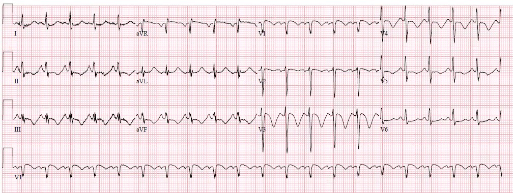 Stephen W. Smith tweet media