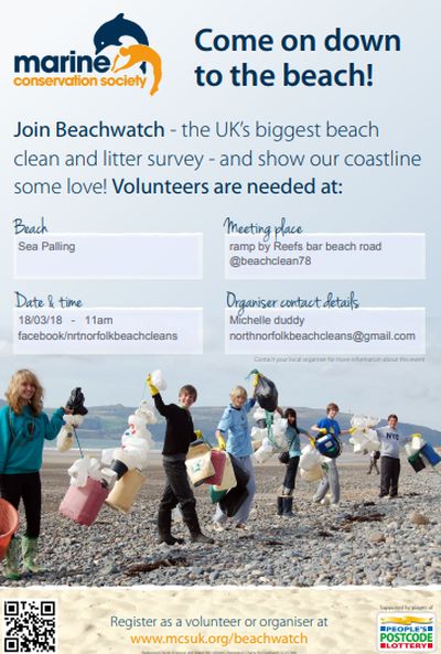 nrthnorfolkbeachclns tweet media