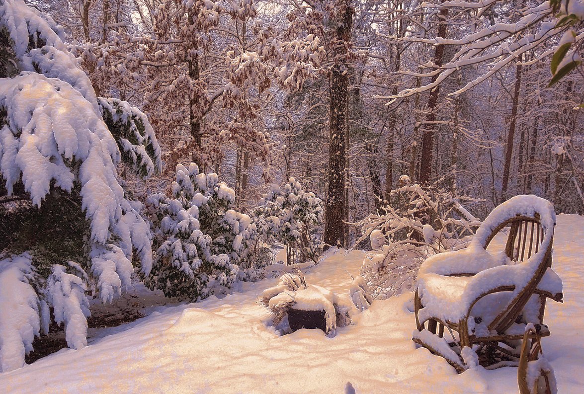 They call winter 'a fickle white witch'! (OUCH!) But even in winter, the cold isn't always bitter, and not every day is cruel. Before we know, from out of the darkness and cold, the light and hope return. #JackLawsome #JackLawsomeWinter #Hope #Metaphor