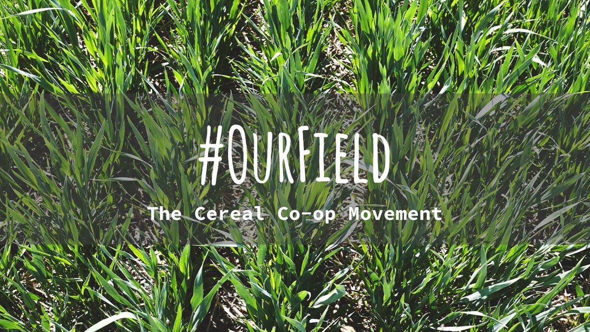 RealBread's tweet image. Deadline for joining @OurFieldProject 2018 is 31 March. Only 18 places: loomio.org/g/HZwpx4Dk/our… #OurFieldWeston