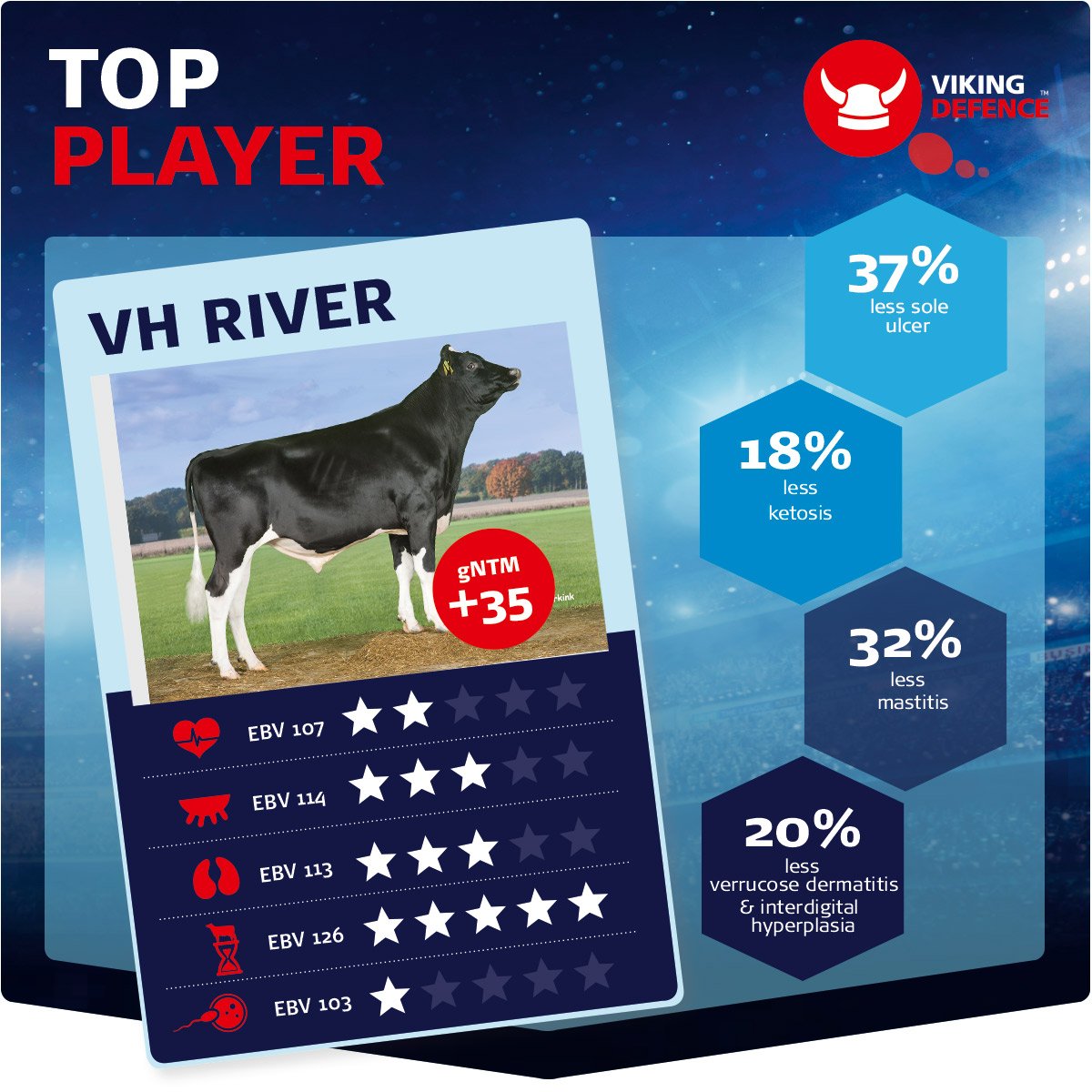 VikingGenetics's tweet photo. Top Player for VikingDefence™ VH River is superior in Longevity with EBV 126! He produces +131.2kg of milk compared to breed avg.! His solids production is on a high level too; fat 4.01% and protein 3.43%. See bull profile: https://t.co/VBr6gKHmmt #vikingdefence #vikinggenetics https://t.co/QiIoaNT9Eg