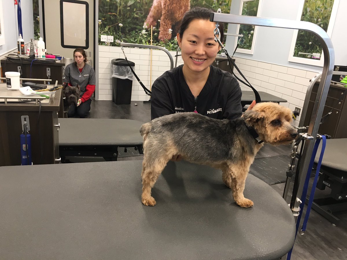#northeastgrooming North Baylon PetSmart. Groomer: Jess
