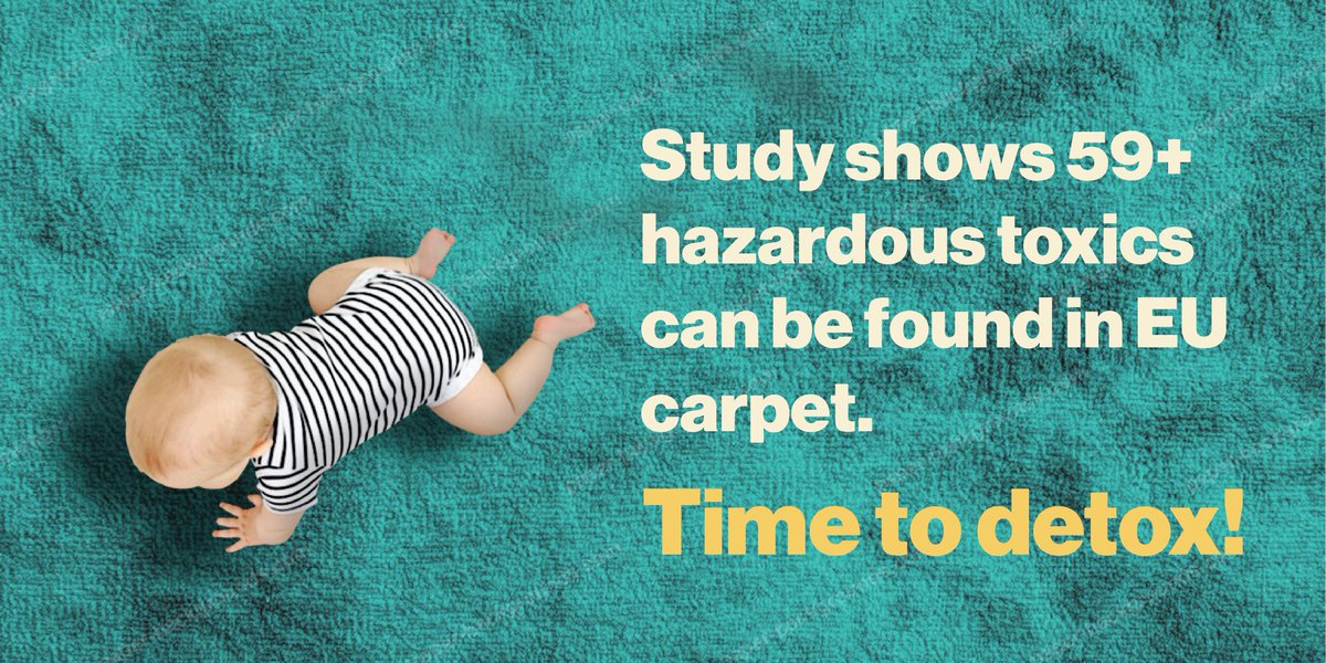 EDCFree's tweet photo. Swept under the rug: new report reveals toxics in European carpets threatening health, environment and #CircularEconomy: https://t.co/nymteCdntb  #DetoxingCarpets #EDCFree https://t.co/n0dpIsTJ5L