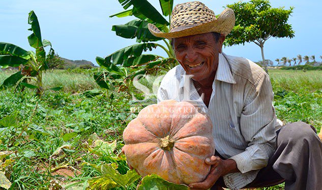 Con las fuerzas creadoras del pueblo el <a href="/CRIFPMA/">CRIFPMA</a>  presenta las orientaciones para participar en las #101RecetasConAuyama , el recetario colectivo de las escuelas aragueñas crifpma.blogspot.com/2018/03/orient… <a href="/JauaMiranda/">Elías Jaua</a> <a href="/maestratuitera/">Miriam Mayorga</a> <a href="/lilidiaz8/">lili'</a> <a href="/RosangelaOrozco/">Rosangela Orozco</a> <a href="/eugeniapinero/">Ma. eugenia piñero</a>