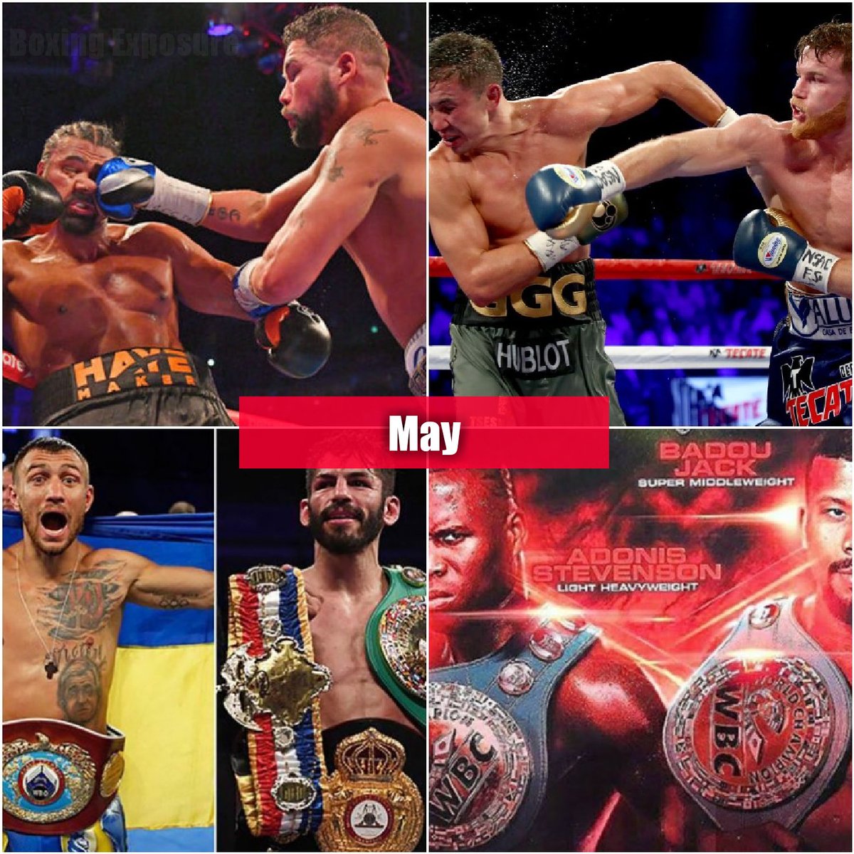 Boxing Exposure tweet media