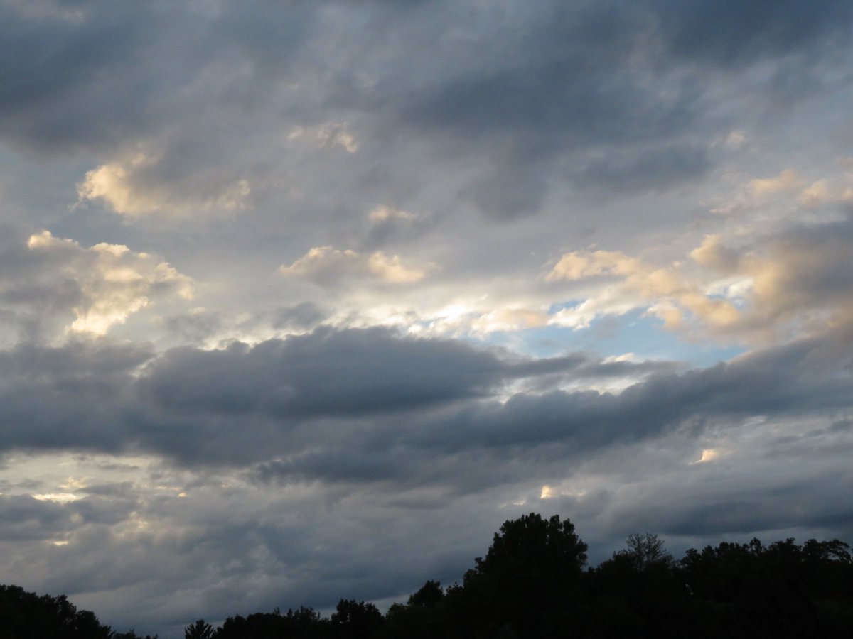 PLKlein_Author's tweet photo. "In war, there are no unwounded soldiers." ~ #JoseNarosky #QuickQuotes #MondayMotivational #War #Unwounded #Soldiers https://t.co/3rb6Tjgy3M