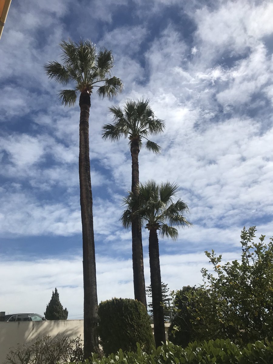magentaprojects's tweet photo. Well despite the weather reports the sun is thankfully shinning in Cรดte dโAzur. Hopefully it will continue throughout the week ๐ซ๐ท #MIPIM2018 #Cannes #MagentaProjects https://t.co/YDYwqrLrqm