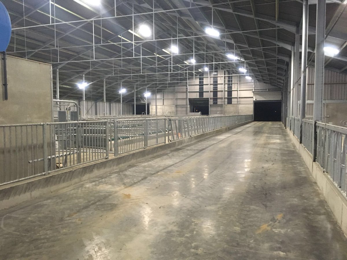 opticowzone's tweet photo. In Herenthout België is afgelopen week weer een Forte project opgeleverd. De boer is dik tevreden met het resultaat 👍 https://t.co/ValMXLyvRK