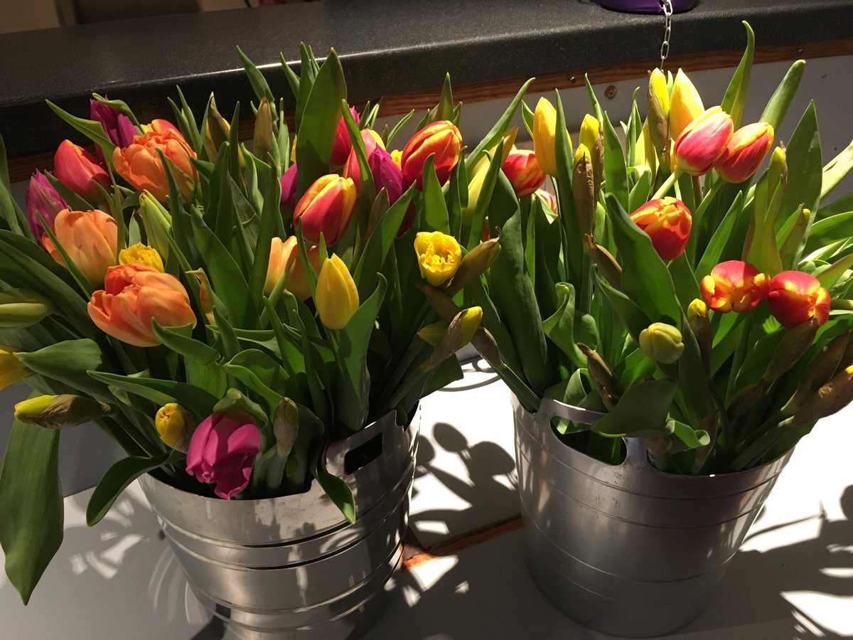 fanostefanie's tweet photo. Mothering Sunday at Watford Central. Set up and ready for all Mum’s. https://t.co/coAEVABzDs