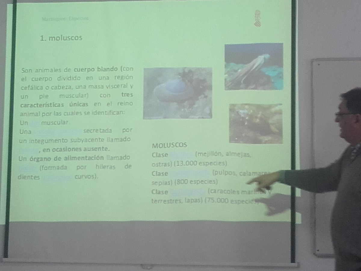 AMGVA's tweet photo. Hoy en Alicante están realizando la charla sobre pesca y marisqueo para Agentes Medioambientales.
@GVAagroambient https://t.co/ZTt8hkW9mj