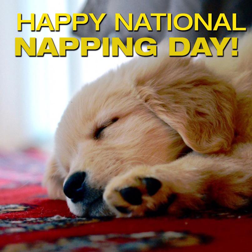National Napping Day Latest news, Breaking headlines and Top stories
