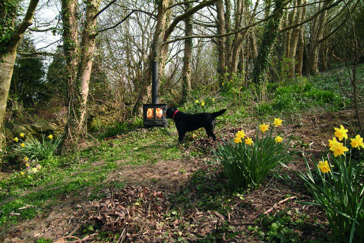 CharnwoodStoves's tweet image. There's a definite whiff of spring in the air