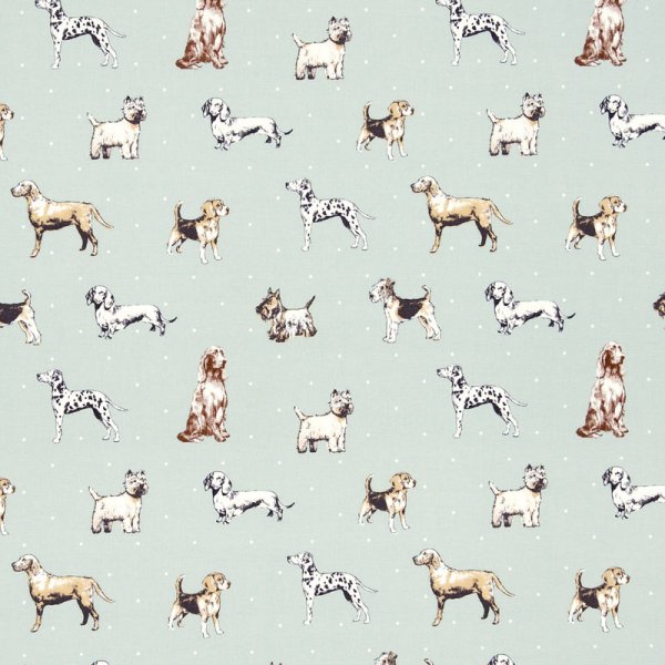 threadandloop tweet picture