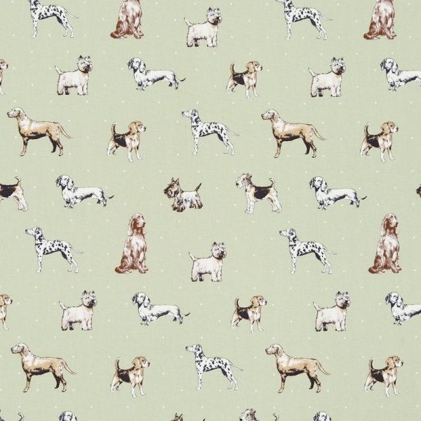 threadandloop tweet picture