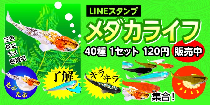 LINEスタンプ販売中のものです。メダカの飼育、熱帯魚の飼育、サツマイモの栽培、出雲弁、郷土愛や趣味の延長でつくったものがほとんどです(^^)同郷や同じ趣味の人に使ってもらい… 