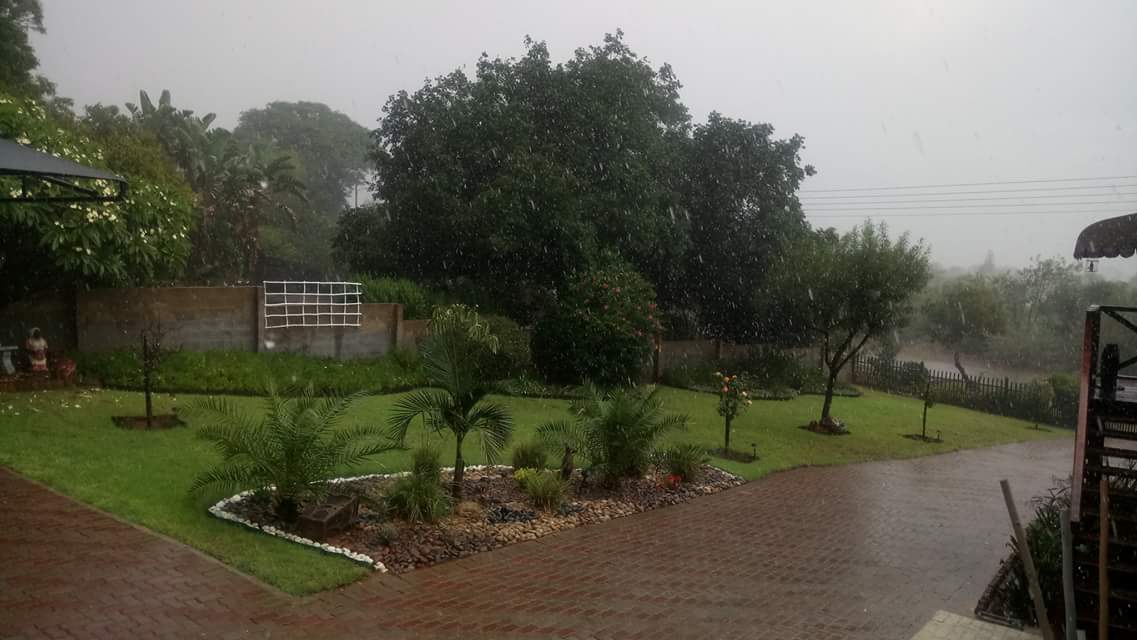 ReenvalSA's tweet photo. Ek kan ook lekker reën rapporteer In #Ohrigstad sover ń almintige 12 mm dis soos manna uit die hemele Hendrik Havenga #SouthAfrica https://t.co/BSCtgx10gz