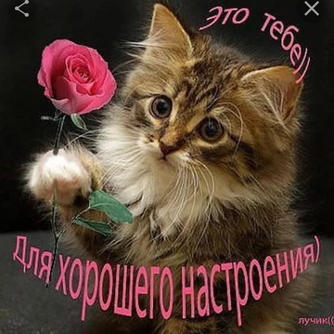 Открытки отправить в одноклассниках, дню рождения любимому