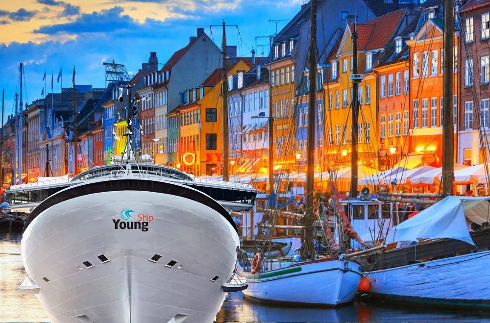 YoungShip Int. tweet media