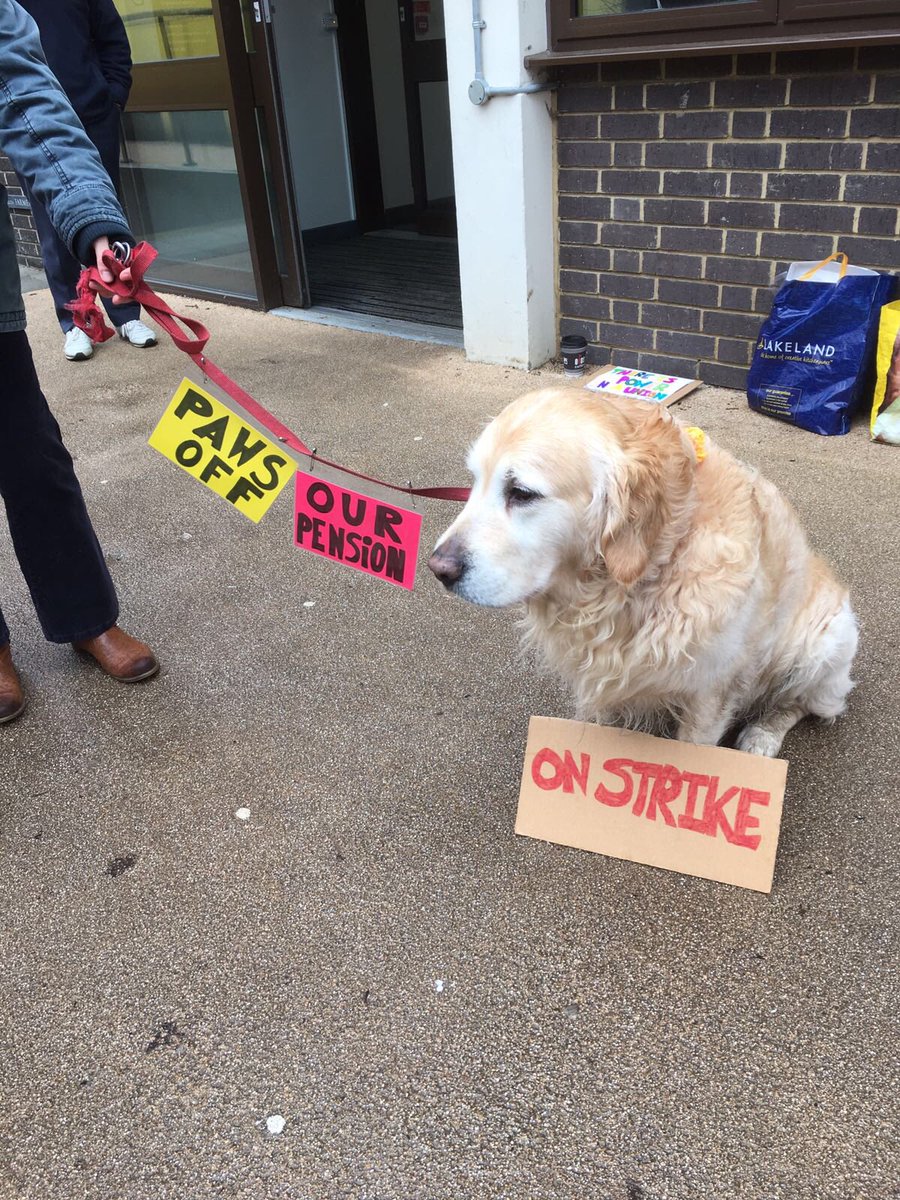 CanterburyCat's tweet photo. Day 10 #pawsoffourpension #petsforpensions #itswetbutwebroughtapet @ucu @UoK_UCU #StrikeforUSS #strikeforpensions #ucustrikekent #solidarity @Labour4C @RosieDuffield1 #ifyoutoleratethisyourchildrenwillbenext @Manics https://t.co/qftfemrI6a