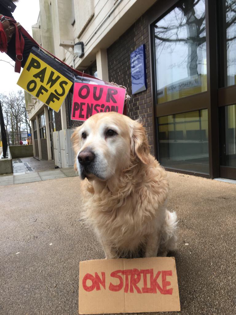 CanterburyCat's tweet photo. Day 10 #pawsoffourpension #petsforpensions #itswetbutwebroughtapet @ucu @UoK_UCU #StrikeforUSS #strikeforpensions #ucustrikekent #solidarity @Labour4C @RosieDuffield1 #ifyoutoleratethisyourchildrenwillbenext @Manics https://t.co/qftfemrI6a