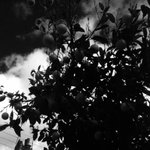 Photo by Davin Marie-Luce (@mldavin05)