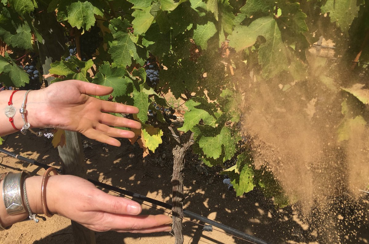 marks_lucy's tweet photo. #grootconstantia #redearth #placepalette #capewind #elemental https://t.co/7YWwLfyRdf