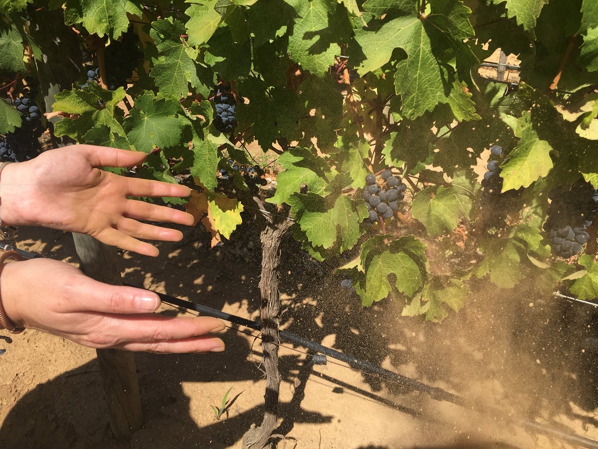 marks_lucy's tweet photo. #grootconstantia #redearth #placepalette #capewind #elemental https://t.co/7YWwLfyRdf