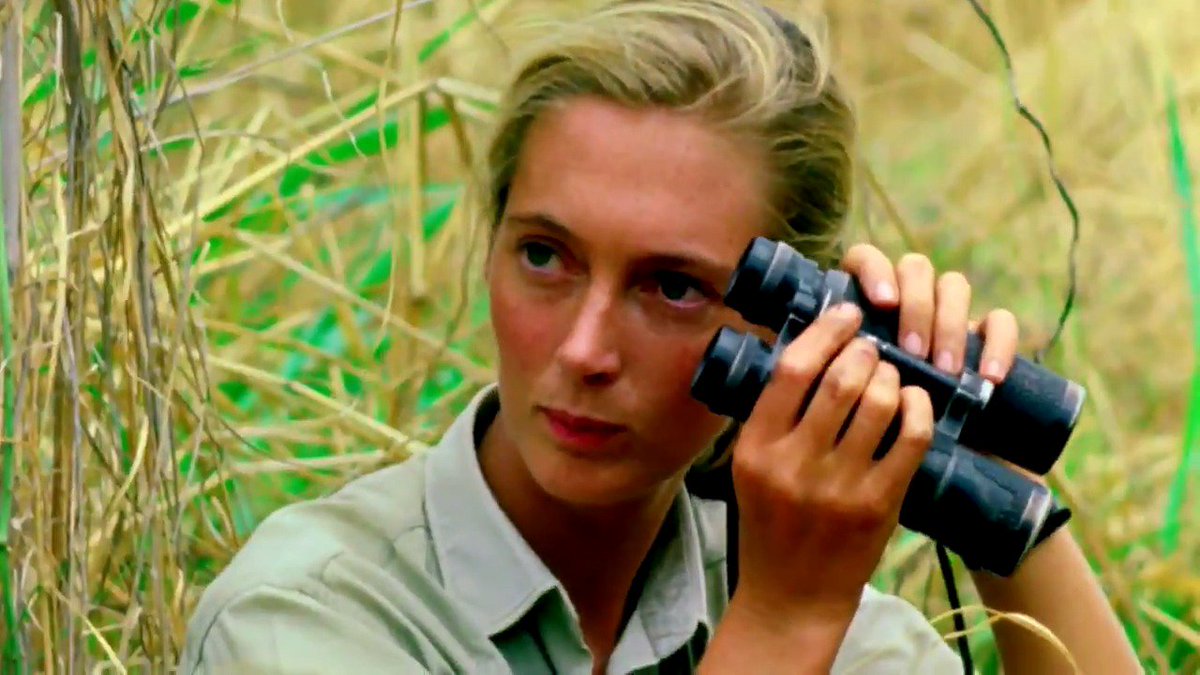 jane goodall chimpanzee research jane goodall chimpanzee research