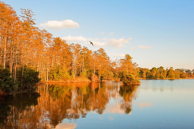 PBC TV Channel 20 tweet media