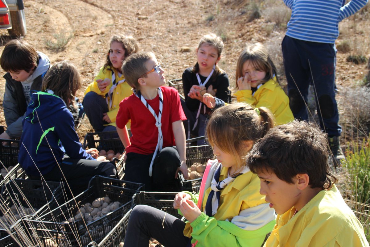 EscoltesiGuies's tweet photo. 📢🌱Una quarantena d'escoltes i guies ha participat en una Jornada de servei mediambiental plantant arbres i llançant boles de llavors fetes per la @Jamborinada en el municipi del Bruc. #femservei #sempreapunt  #somdecau 
📰📷Notícia i fotos 👉https://t.co/UB3B3ry5IV https://t.co/YLjHdWCCe4