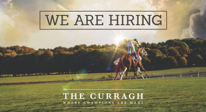 curraghrace's tweet image. REMINDER: Closing date this Wednesday 14th March @5pm. We are currently hiring SEASONAL RACE DAY STAFF find out more ➡️ bit.ly/2kaeY8I #workinracing #jobfairy #thecurragh @workinracing @KildareNow
