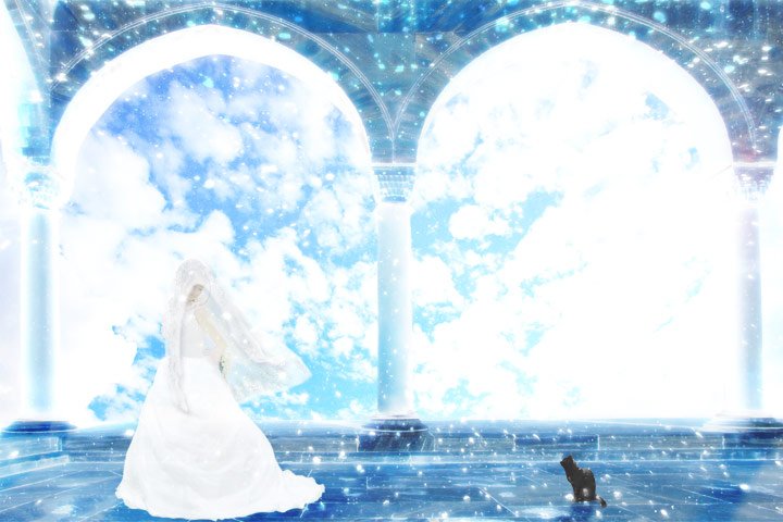 skylaboratory's tweet photo. #私の作品もっと沢山の人に広がれ祭り 
#写真好きな人と繋がりたい
Photoshopで自分で撮った写真を色々加工するのが好き https://t.co/Qd4smp6BkB