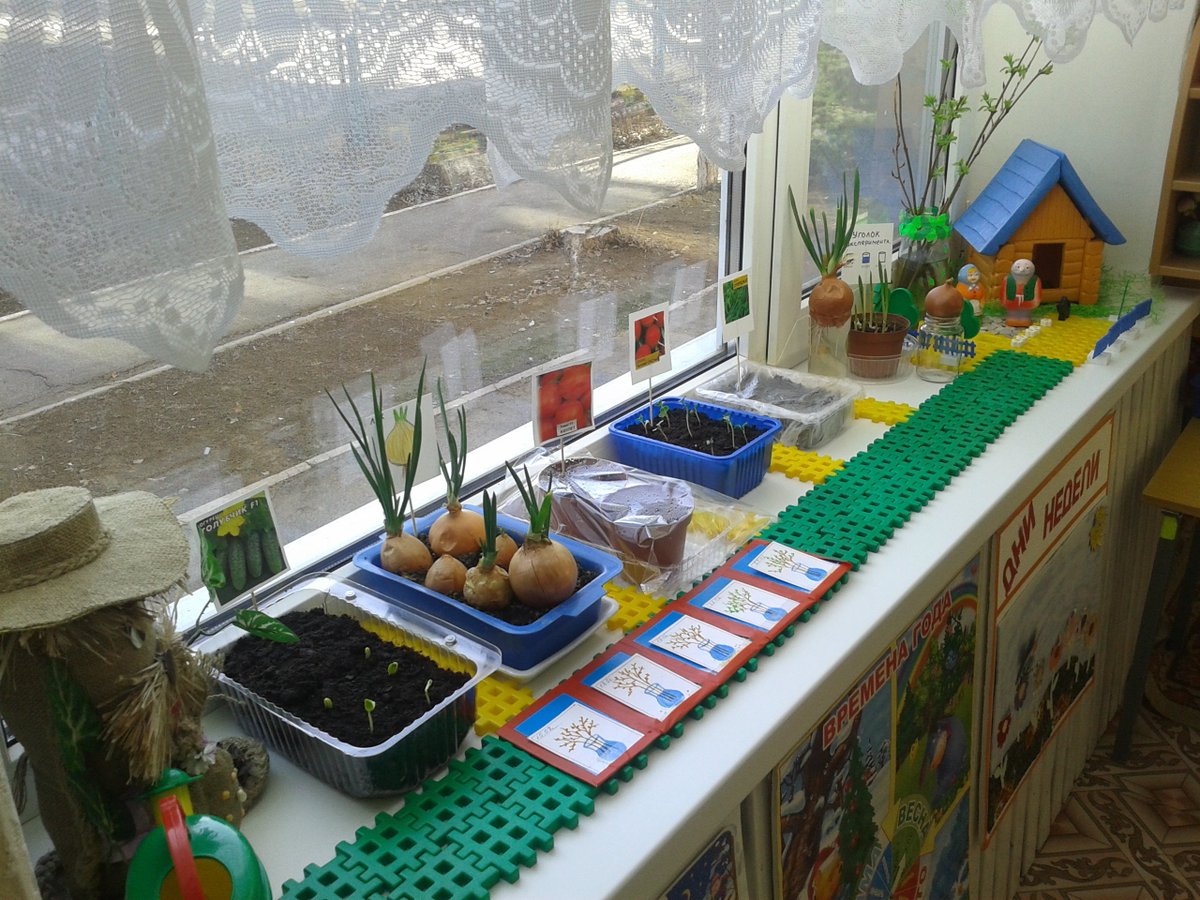 огород в детском саду оформление своими руками