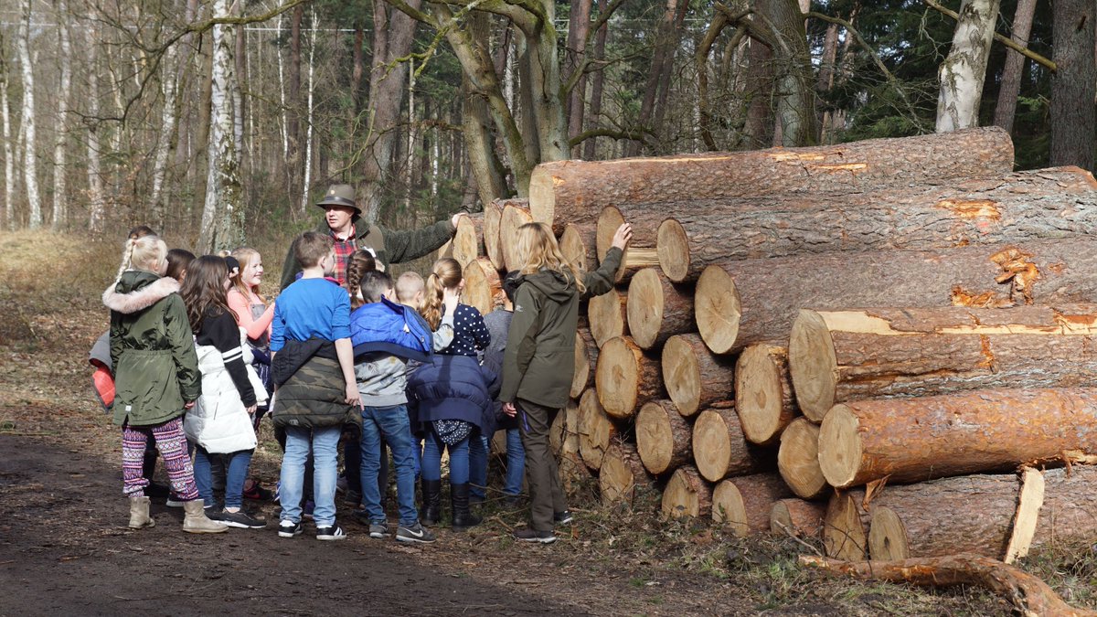 Boomfeestdag wordt extra groots gevierd, daarom zijn verschillende basisschoolleerlingen deze hele week actief in en met de natuur! 🍃 Leerlingen van basisschool De Schakel maakten daarom vandaag een leerzame boswandeling met de boswachter. 🌳 #boomfeestdagharderwijk