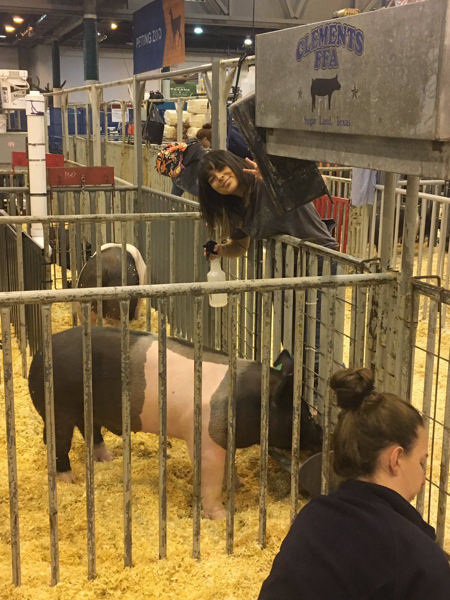 MrsKMarchant's tweet photo. Up bright and early this morning getting Allison and Kate ready to show! @ClementsFFA https://t.co/5kudvqyIJP