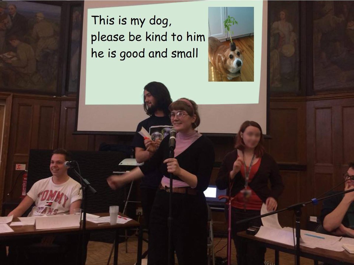 BHOSVIC's tweet photo. You lot have been sending in some good shit, get involved if you haven't already - the templates at the end https://t.co/RTHsecNrFr