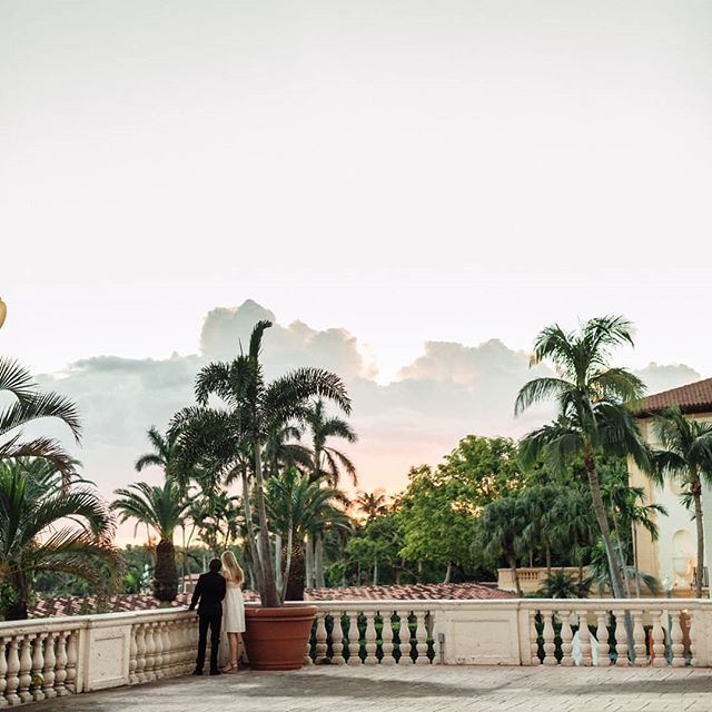 duchess_dupont's tweet photo. Picture perfect Miami sunsets...even more beautiful on our wedding day
#flashesofdelight #miamiweddings #biltmorewedding #biltmorehotelmiami #sunset #sublimesunset #sublime #erikadelgadophotography #magicalweddings #coralgables #miami #weddingcocktailhour #pictureperfect #i… https://t.co/yrXmCQU9OQ
