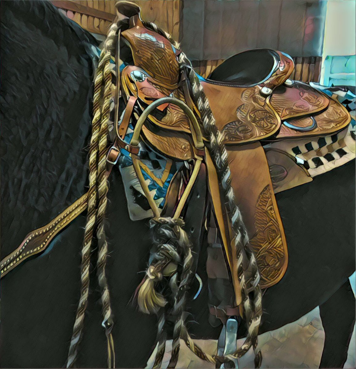 TwookieH's tweet photo. #equestrian #horselover #CowboyUp #MondayMotivation https://t.co/L9GYgjhz8t