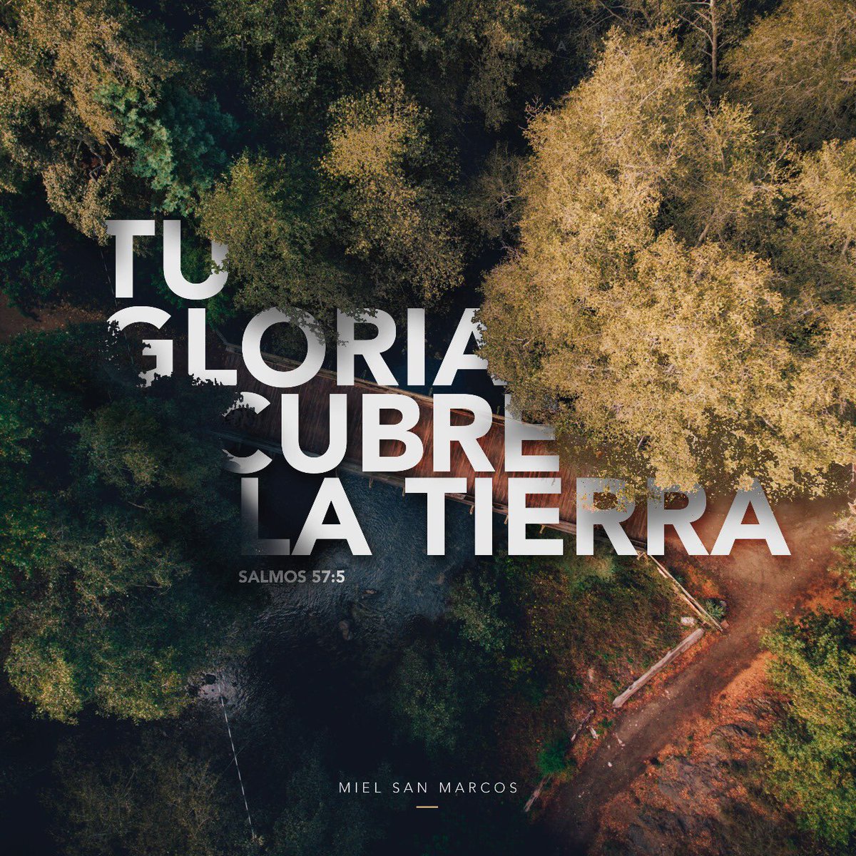Mielsanmarcos's tweet photo. UN NUEVO DIA ☀️ 
Sal 57:5 Exaltado seas sobre los cielos, oh Dios; Sobre toda la tierra sea tu gloria. https://t.co/7blADKGHuE
