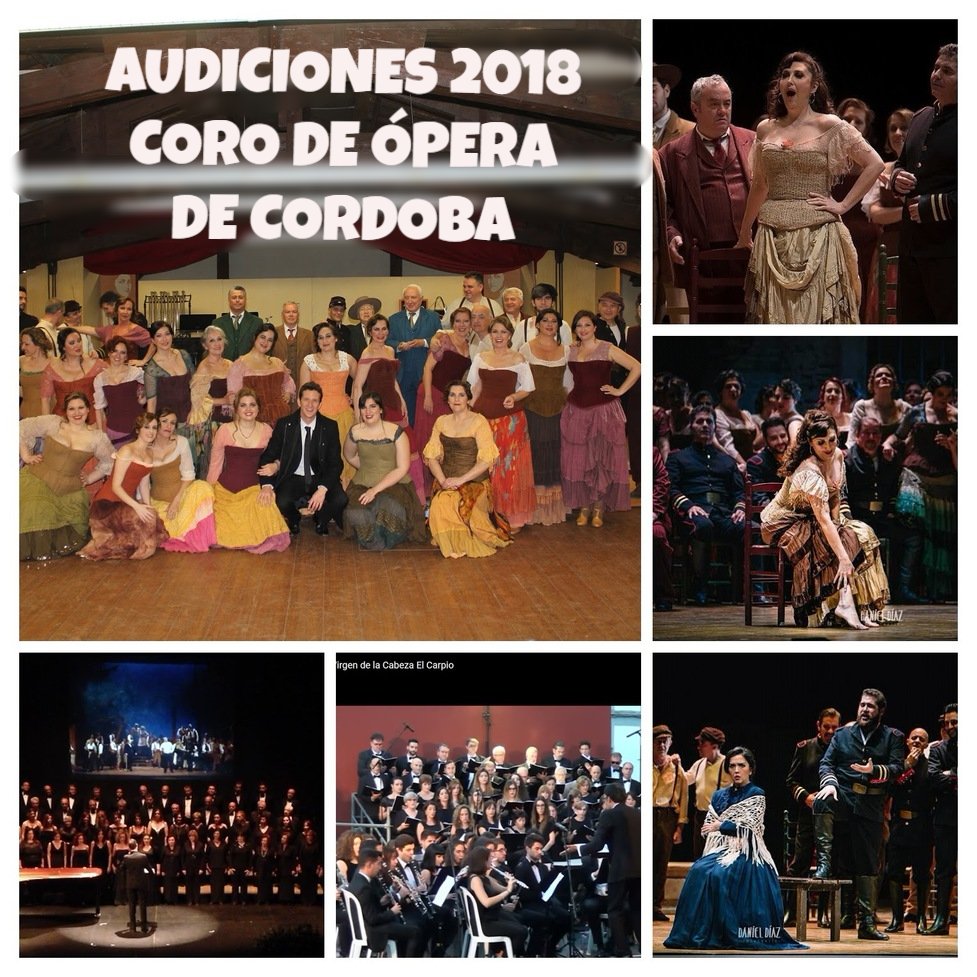 CoroOperaCordob's tweet photo. #AUDICIONES 2018 @CoroOperaCordob .
Informate, toda la informacion en nuestra web:
https://t.co/K1NgoeNgk4 https://t.co/WTojngkJvf