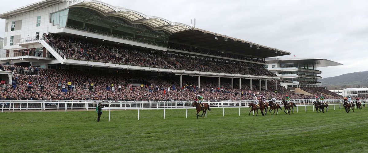 Fancy FREE access to our #CheltenhamFestival blog this week? We're giving away x5 FREE weekly memberships. Simply RT this &amp; make sure you are following us! Winners drawn tomorrow morning, randomly. #PreciseTips bit.ly/1GCYR4F