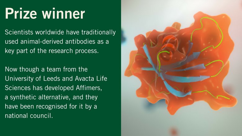 UniversityLeeds's tweet photo. The @NC3Rs has highly commended biologists Darren Tomlinson and Christian Tiede from @ScienceLeeds, who have contributed to reducing the number of animals used in research with the development of Affimer technology.
https://t.co/5F4YpSL2eT https://t.co/BiF0lTE9yL